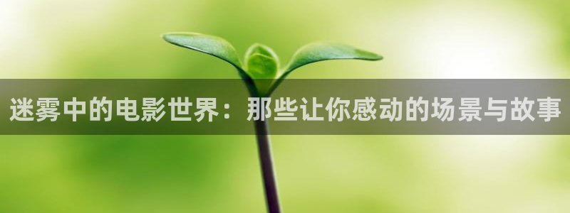 神马电影真心影院