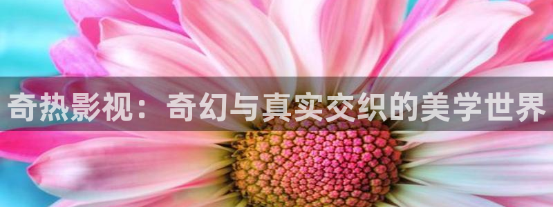 神马影院鲁鲁片
