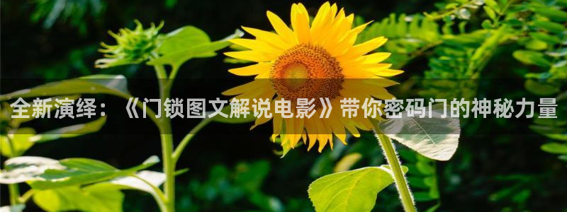 神马电影网91