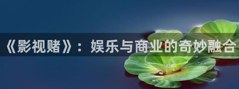 我不卡神马伦理片