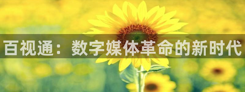 神马影院阿姨