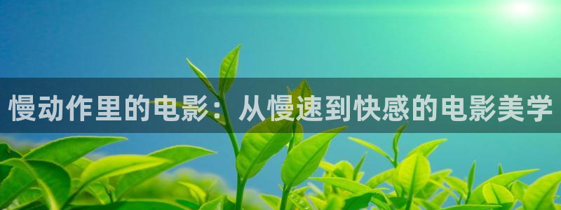 神马影院我不卡在线观看