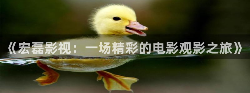 神马电影完整版在线观看