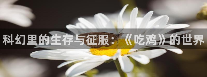 年轻的母亲 神马影视