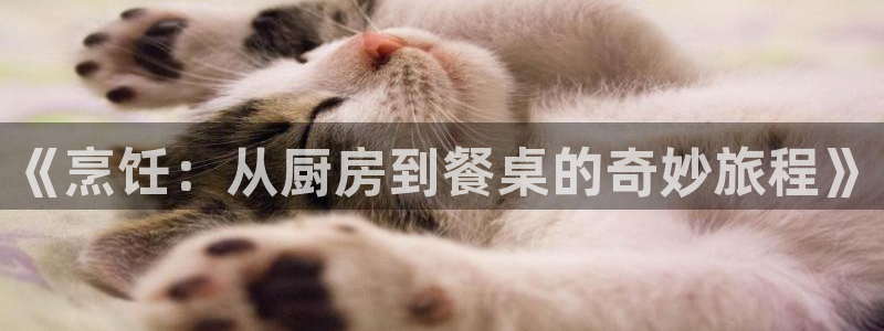 韩国伦理电影神马影院