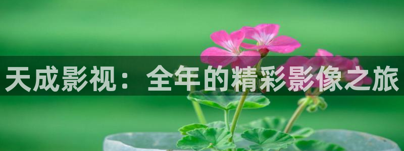 秋霞神马影院在线观看