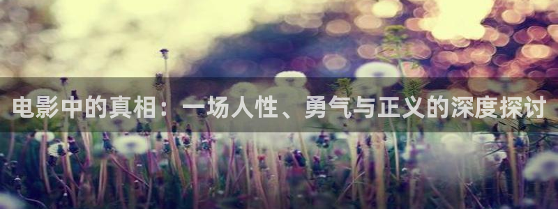 午夜天堂神马影院