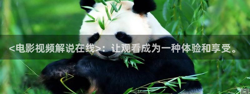 神马影院dy666