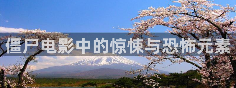 神马午夜伦理影院在线