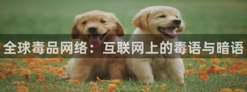神马电影网理论片