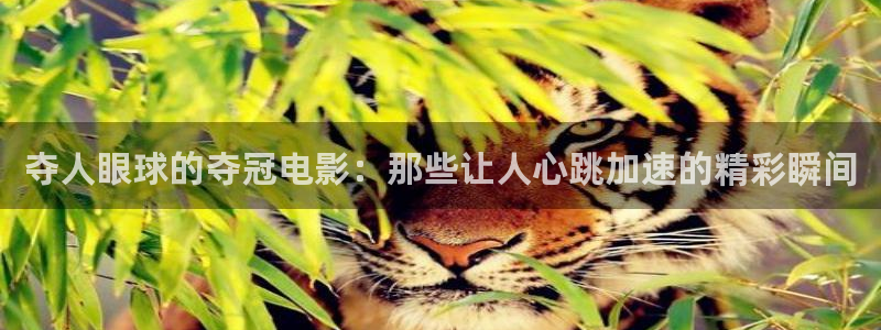 神马影视手机影院在线