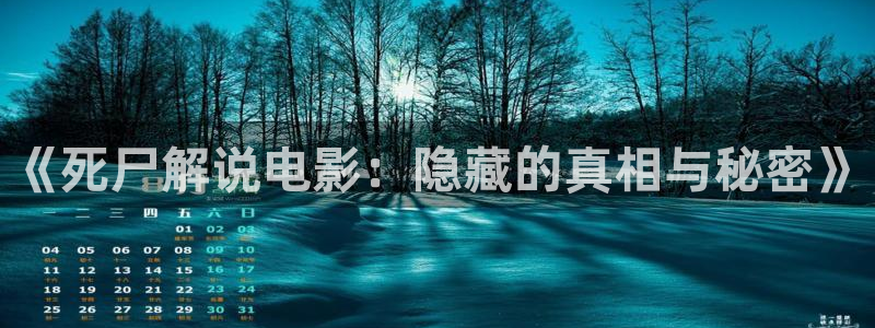 神马影网