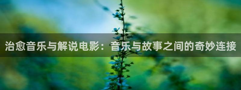 秋霞电影神马影院